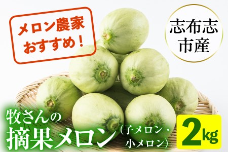 【期間限定・数量限定】鹿児島県志布志産 摘果メロン(子メロン・小メロン) 2kg a0-330-02