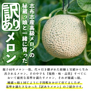 【春限定・数量限定】牧さんの訳ありメロン 赤玉(赤肉)1玉 メロン マスクメロン 果物 くだもの デザート 赤肉 訳あり a1-057-s