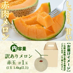 【春限定・数量限定】牧さんの訳ありメロン 赤玉(赤肉)1玉 メロン マスクメロン 果物 くだもの デザート 赤肉 訳あり a1-057-s