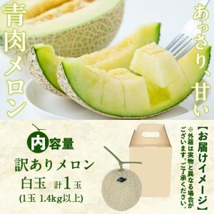 【春限定・数量限定】牧さんの訳ありメロン 白玉(青肉)1玉 メロン マスクメロン 果物 くだもの デザート 青肉 訳あり a1-058-s