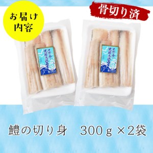 お鍋・はもしゃぶにも！志布志湾鱧（骨切り済み） 計600g a5-296