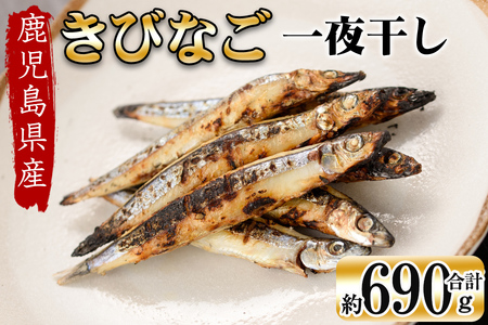 鹿児島県産 黒潮の恵み！天然物きびなご一夜干し約230g×3パック（合計約690g）a3-191