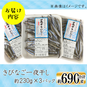 鹿児島県産 黒潮の恵み！天然物きびなご一夜干し約230g×3パック（合計約690g）a3-191