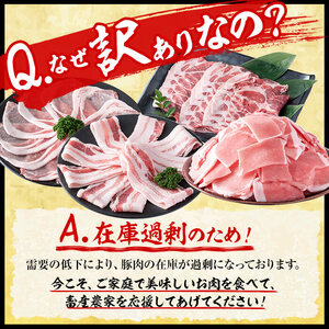【数量限定】小分け・真空パック!九州産豚肉4種セット＜計2.25kg＞a0-218