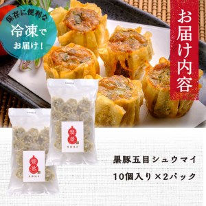 鹿児島県志布志産黒豚使用 南国熊曽黒豚五目シュウマイ 計20個(10個x2パック) a0-333