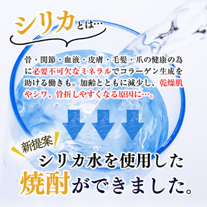 <本樽貯蔵>本格芋焼酎 Silica(700ml×2本) 焼酎 芋焼酎 シリカ シリカ水 ロック 炭酸割 a3-223