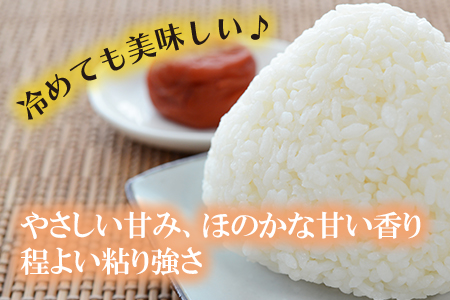 鹿児島県志布志市産なつほのか 精白米 計10kg(5kg×2袋) a6-030-R5