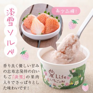 a5-218 いちご農家がつくった淡雪と赤苺のソルベ 計10個(2種・各5個入)