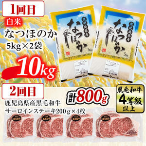 【定期便】<6ヵ月連続・合計34kg以上>肉と米を交互にお届け!牛肉・豚肉・お米の満足Sコース t0106-002