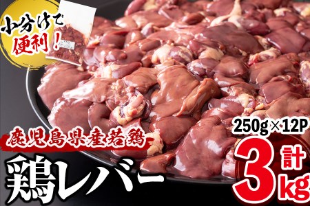 小分けで便利！鹿児島県産鶏レバー 計3kg(250g×12P) a0-358