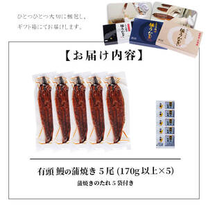 楠田の極うなぎ 蒲焼き 170g以上×5尾(計850g以上) うなぎ 鰻 ウナギ 国産 鹿児島県産 九州産 蒲焼き 冷凍 うな重 ひつまぶし c7-004