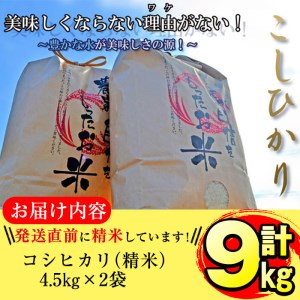 【米の匠】川崎さん自慢のコシヒカリ 計9kg(4.5kg×2袋) a3-006-R5