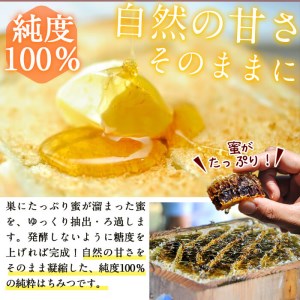 b2-003 日本みつばちの純粋蜂蜜＜志布志の秘蜜＞計560g(280g×2本)