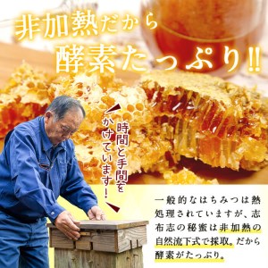 b2-003 日本みつばちの純粋蜂蜜＜志布志の秘蜜＞計560g(280g×2本)