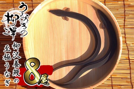 熟練の技が冴える！うなぎの柳澤 鰻蒲焼き8尾(計1360g) f0-023