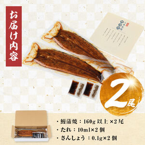 うなぎ 蒲焼 国産 八本木樽 2尾 ＜計320g以上＞ a2-115