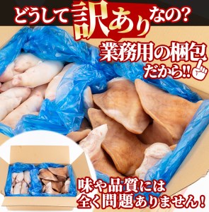 【訳あり・業務用】【数量限定】豚耳・黒豚半割詰合せ(合計10kg) a3-188