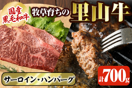 国産黒毛和牛 牧草育ちの里山牛 サーロインステーキ＆手作りハンバーグセット 計700g 黒毛和牛 和牛 肉 牛肉 国産 ハンバーグ サーロイン ステーキ b1-016
