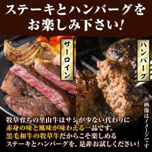 国産黒毛和牛 牧草育ちの里山牛 サーロインステーキ＆手作りハンバーグセット 計700g 黒毛和牛 和牛 肉 牛肉 国産 ハンバーグ サーロイン ステーキ b1-016