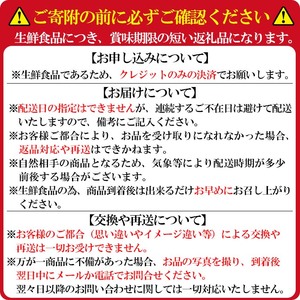 鹿児島県産いちご！特別栽培農産物 いちごの村から朝摘み「淡雪」4Pセット(計1kg・約270g×4P) b5-045