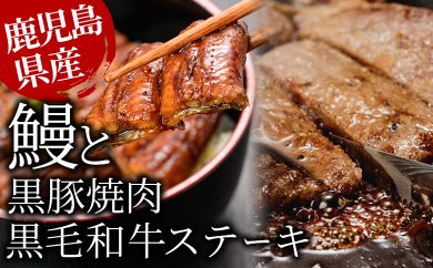 f0-006 鹿児島自慢3点セット うなぎ・黒毛和牛サーロインステーキ・黒豚肩ロース