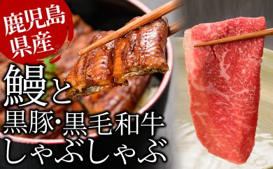 f0-007 鹿児島自慢3点セット うなぎ・黒毛和牛しゃぶ肉・黒豚しゃぶ肉