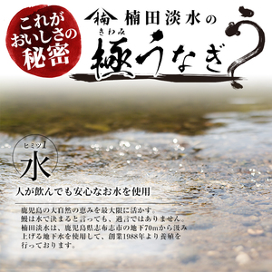 【ギフト対応】楠田の極うなぎ　蒲焼き170ｇ以上×3尾(計510ｇ以上） b2-018