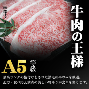 「牛肉の王様」A5等級鹿児島県産黒毛和牛サーロインスライス1kg(200g×5パック)! b7-015