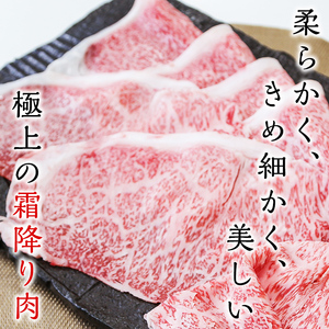 「牛肉の王様」A5等級鹿児島県産黒毛和牛サーロインスライス1kg(200g×5パック)! b7-015