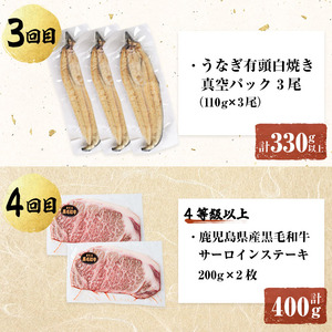 【定期便全6回】鰻と肉の贅沢定期便！鰻とお肉が交互に届くお楽しみ便 t0101-003