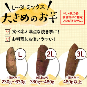 大きめのお芋(L～3L)】鹿児島県産さつまいも 土付き 紅はるか＜計5kg