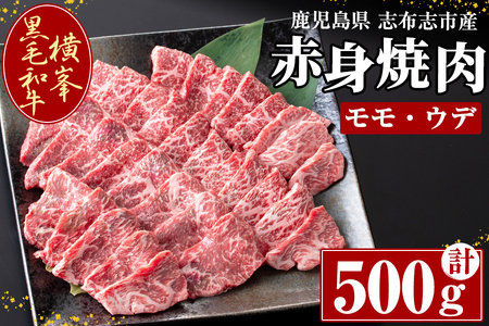 鹿児島県志布志市産横峯黒毛和牛の赤身焼肉(500g×1P) 鹿児島県産 国産 牛肉 牛 赤身 赤身肉 焼き肉 希少牛 手切り モモ ウデ バーベキュー BBQ b0-187