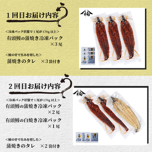 【定期便全3回】蒲焼きと白焼きが楽しめる贅沢定期便！ t0066-001