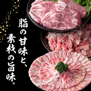 南九州産豚肉3種セット(切り落し・バラスライス・とんかつ)(計2.9kg) a5-270