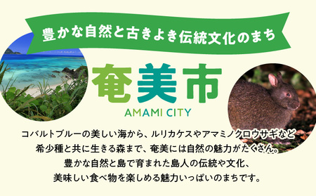 鹿児島県奄美市の対象ツアーに使えるHISふるさと納税クーポン 寄附額10,000円 HIS01 電子クーポン ツアー トラベル 旅 旅行 観光 チケット 旅券 鹿児島県