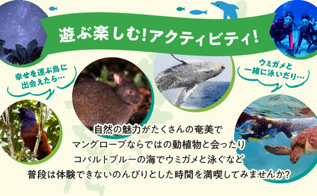 鹿児島県奄美市の対象ツアーに使えるHISふるさと納税クーポン 寄附額10,000円 - 電子クーポン ツアー トラベル 旅 旅行 観光 チケット 旅券 鹿児島県