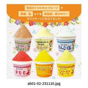 奄美産素材使用ジェラート 12個入り A047-002 鹿児島 奄美市 奄美大島 ジェラテリア アンティカ トロピカルフルーツ 低脂肪 低カロリー スイーツ グァバ 塩 すもも たんかん きんかん バナナ パッションフルーツ フルーツパパイヤ みき 黒糖 奄美黒糖焼酎 白ゴマ ギフト 贈答用