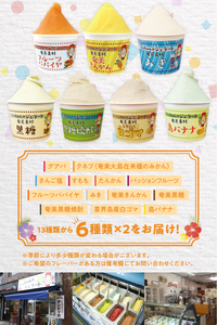 奄美産素材使用ジェラート 12個入り A047-002 鹿児島 奄美市 奄美大島 ジェラテリア アンティカ トロピカルフルーツ 低脂肪 低カロリー スイーツ グァバ 塩 すもも たんかん きんかん バナナ パッションフルーツ フルーツパパイヤ みき 黒糖 奄美黒糖焼酎 白ゴマ ギフト 贈答用