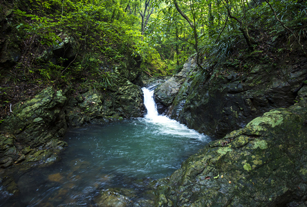 奄美黒糖焼酎 じょうご 25度 紙パック 1800ml×6本 A002-014