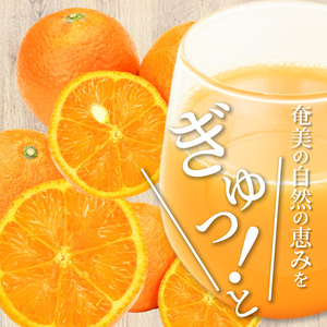 【ギフトにどうぞ】奄美のとれたてたんかんジュース 3本セット A015-001 奄美大島 たんかん 南国のみかん トロピカルフルーツ 果物 ストレートタイプ とれたて 酎ハイ・カクテルに お中元 お歳暮 贈答用におすすめ