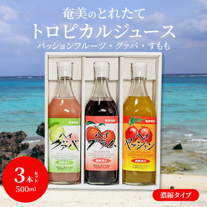 【ギフトにどうぞ】奄美のとれたてジュース アソート3本セット（パッション・グァバ・すもも） A015-010 飲み比べ パッションフルーツ グァバ プラム トロピカルフルーツ 果物 希釈 濃縮タイプ とれたて 酎ハイ・カクテルに お中元 お歳暮 贈答用