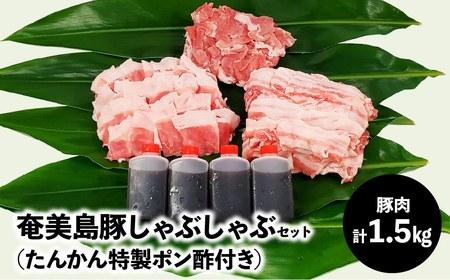 【奄美島豚】しゃぶしゃぶセット 1.5kg（たんかん特製ポン酢付き） A011-003 豚肉 セット 1.5kg 豚肉 豚バラ 豚肩ロース 豚もも肉 脂身に旨み ポン酢 しゃぶしゃぶ 奄美 島豚 黒豚 冬 鍋 セットたんかん 特製ポン酢