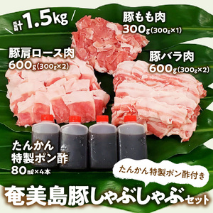 【奄美島豚】しゃぶしゃぶセット 1.5kg（たんかん特製ポン酢付き） A011-003 豚肉 セット 1.5kg 豚肉 豚バラ 豚肩ロース 豚もも肉 脂身に旨み ポン酢 しゃぶしゃぶ 奄美 島豚 黒豚 冬 鍋 セットたんかん 特製ポン酢