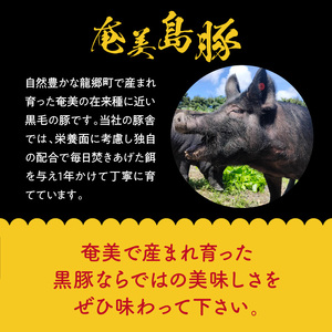 【奄美島豚】しゃぶしゃぶセット 1.5kg（たんかん特製ポン酢付き） A011-003 豚肉 セット 1.5kg 豚肉 豚バラ 豚肩ロース 豚もも肉 脂身に旨み ポン酢 しゃぶしゃぶ 奄美 島豚 黒豚 冬 鍋 セットたんかん 特製ポン酢