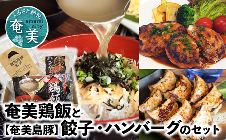 【奄美鶏飯】と【奄美島豚】餃子・ハンバーグのセット A011-004 ハンバーグ 2個 餃子 12個 鶏飯 2食分 セット 奄美 島豚 黒豚 簡単 時短調理 焼くだけ お手軽 郷土料理 島料理 鹿児島県 奄美市 冷凍