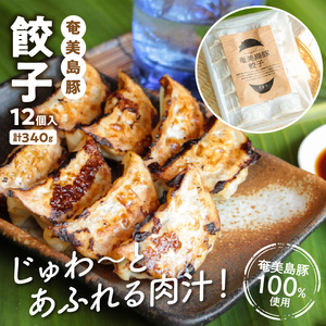 【奄美鶏飯】と【奄美島豚】餃子・ハンバーグのセット A011-004 ハンバーグ 2個 餃子 12個 鶏飯 2食分 セット 奄美 島豚 黒豚 簡単 時短調理 焼くだけ お手軽 郷土料理 島料理 鹿児島県 奄美市 冷凍