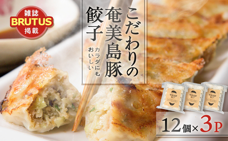 こだわりの 奄美 島豚 餃子 A011-007 ギョーザ 奄美島豚 奄美島豚餃子 島豚餃子 大きい 食べ応え おかず つまみ 昼食 夕食 中華 美味しい こだわり 奄美ぐすく農産 ふるさと納税 奄美市 おすすめ ランキング プレゼント ギフト