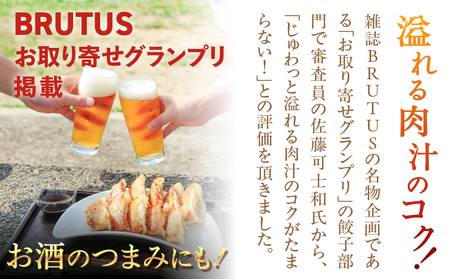 こだわりの 奄美 島豚 餃子 A011-007 ギョーザ 奄美島豚 奄美島豚餃子 島豚餃子 大きい 食べ応え おかず つまみ 昼食 夕食 中華 美味しい こだわり 奄美ぐすく農産 ふるさと納税 奄美市 おすすめ ランキング プレゼント ギフト