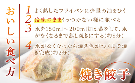 こだわりの 奄美 島豚 餃子 A011-007 ギョーザ 奄美島豚 奄美島豚餃子 島豚餃子 大きい 食べ応え おかず つまみ 昼食 夕食 中華 美味しい こだわり 奄美ぐすく農産 ふるさと納税 奄美市 おすすめ ランキング プレゼント ギフト