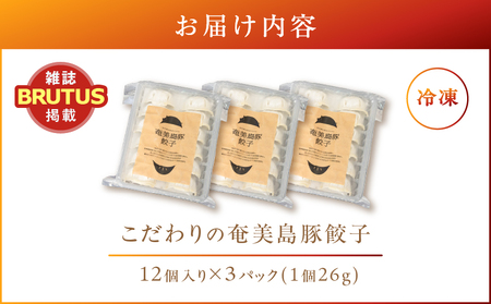 こだわりの 奄美 島豚 餃子 A011-007 ギョーザ 奄美島豚 奄美島豚餃子 島豚餃子 大きい 食べ応え おかず つまみ 昼食 夕食 中華 美味しい こだわり 奄美ぐすく農産 ふるさと納税 奄美市 おすすめ ランキング プレゼント ギフト